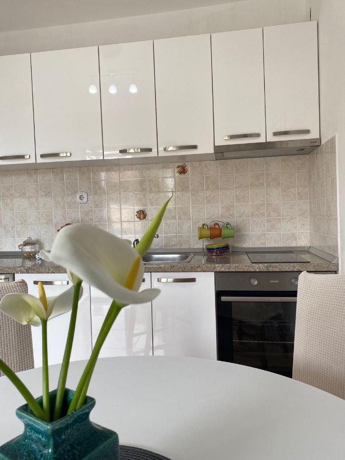 Studio Apartment Novak Čilipi Kültér fotó