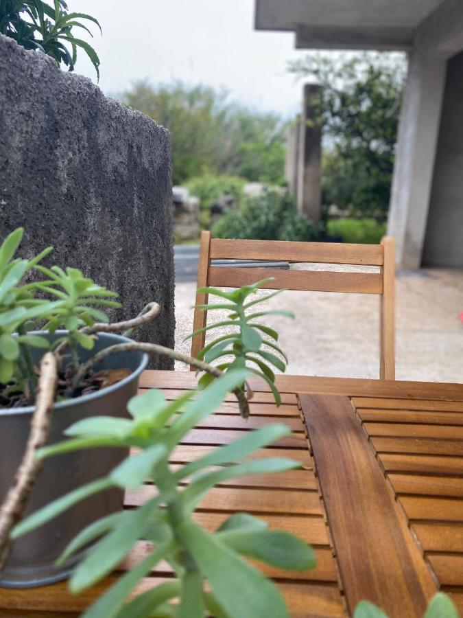 Studio Apartment Novak Čilipi Kültér fotó